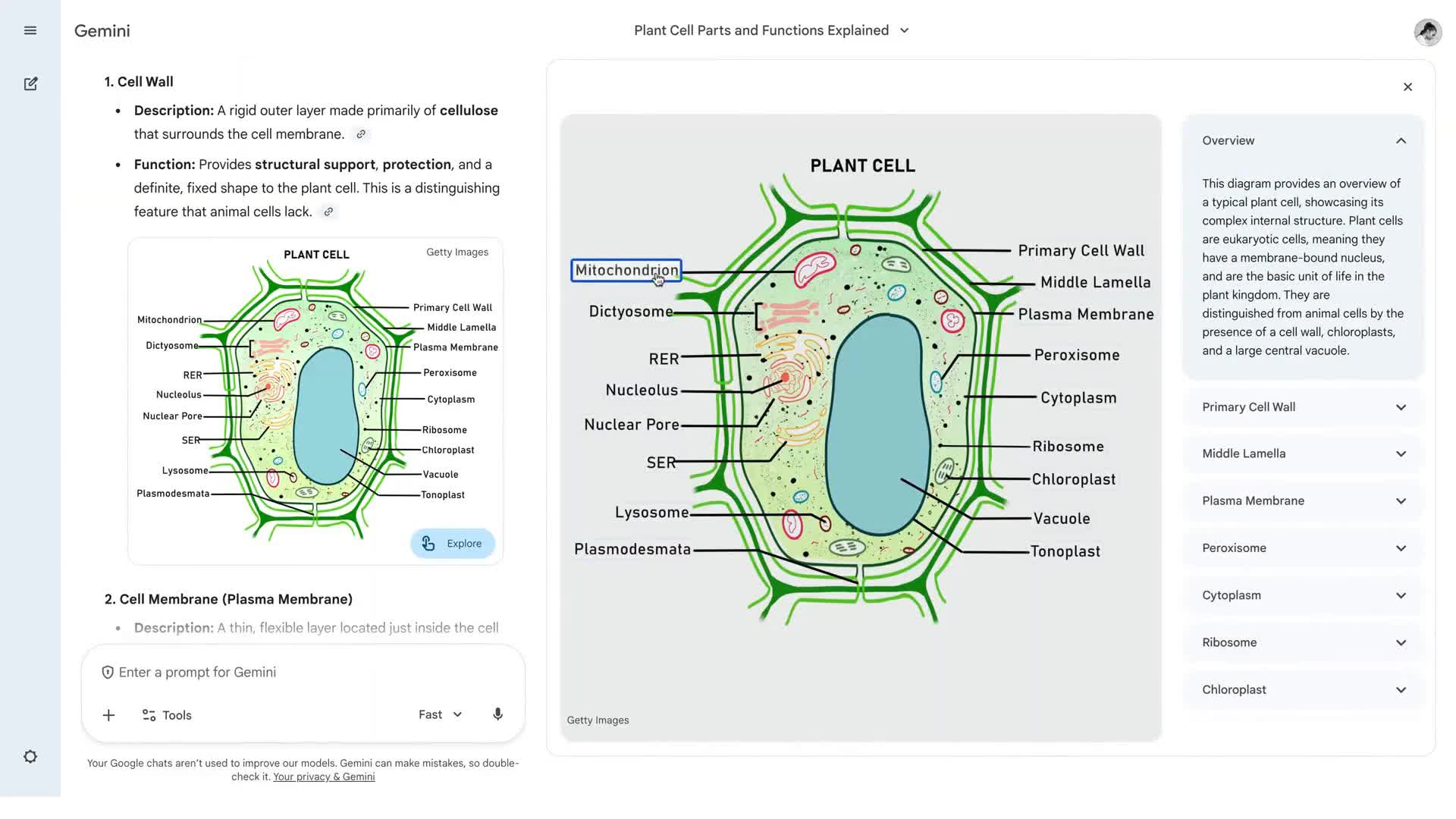 Gemini uczy teraz przez interaktywne obrazy. To zmienia wszystko