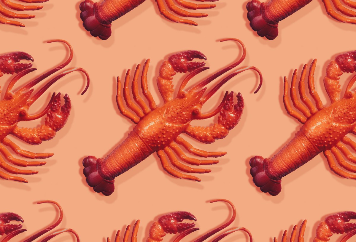 Moltbot: wirusowy asystent AI, o którym wszyscy gadają